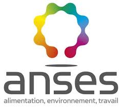 Anses