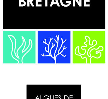 logo_algues_de_bretagne_globe_export