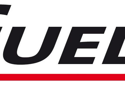 logo_GUELT_2011