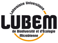 logo_LUBEM