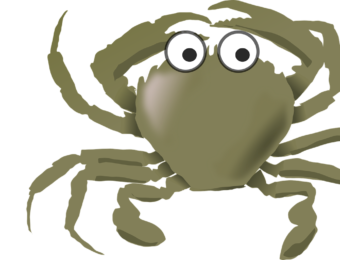 Crabe_vert_Pixabay_OpenClipart_Vectors