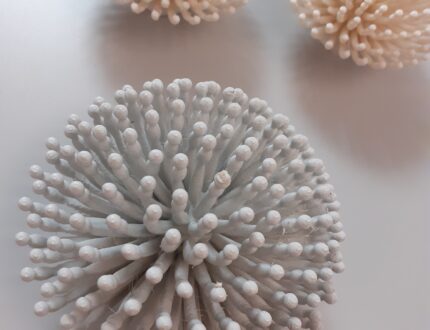 Aspergillus impression 3D