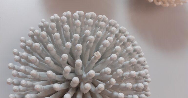 Aspergillus impression 3D